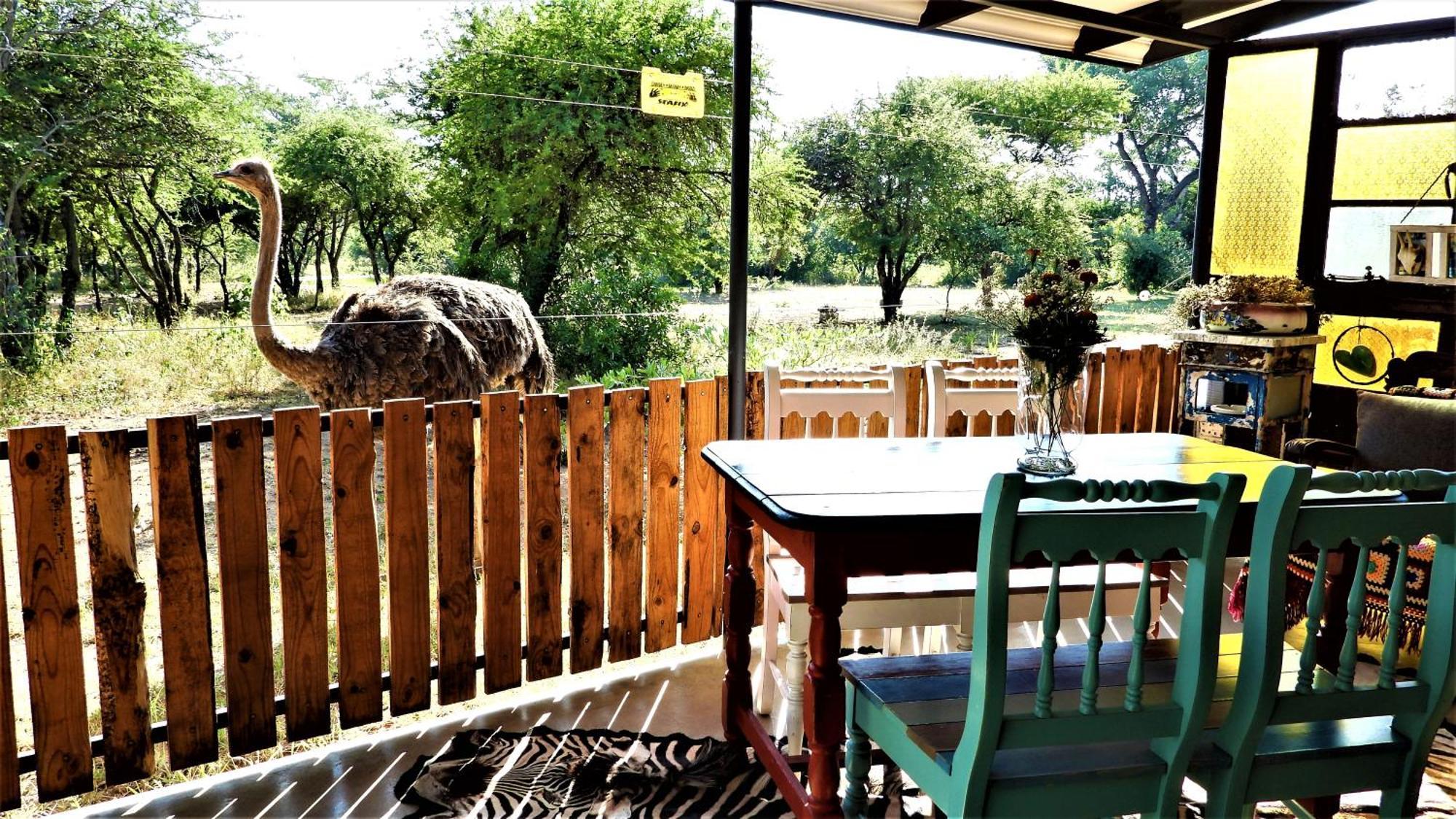 Marulani Bush Lodge Klipdrift Exteriér fotografie